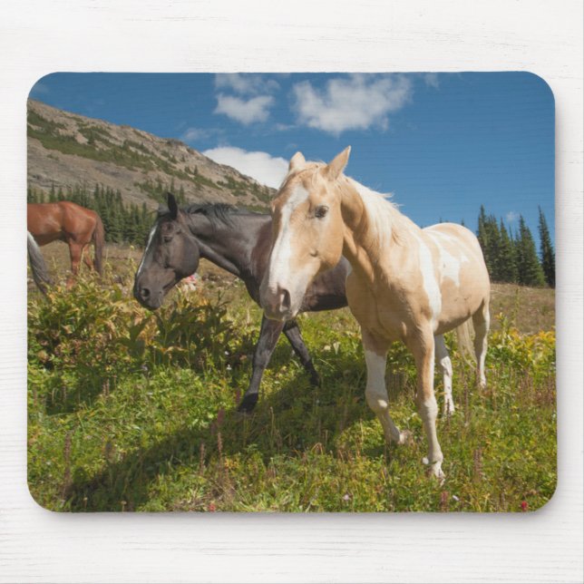 National Park North Cascades Mousepad (Vorne)