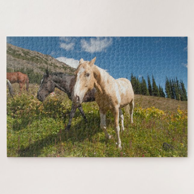 National Park North Cascades Puzzle (Horizontal)