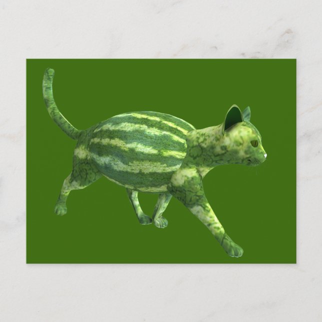 National Watermelon Day Cat Postkarte (Vorderseite)