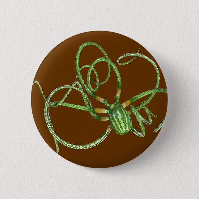 National Watermelon Day Octopus Button (Vorderseite)