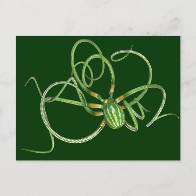 National Watermelon Day Octopus Postkarte (Vorderseite)