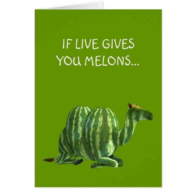 National Watermelone Day Dromedary (Vorne)