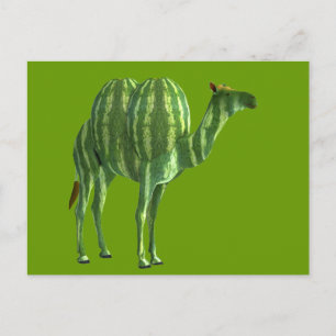 National Watermelone Day Dromedary Postkarte