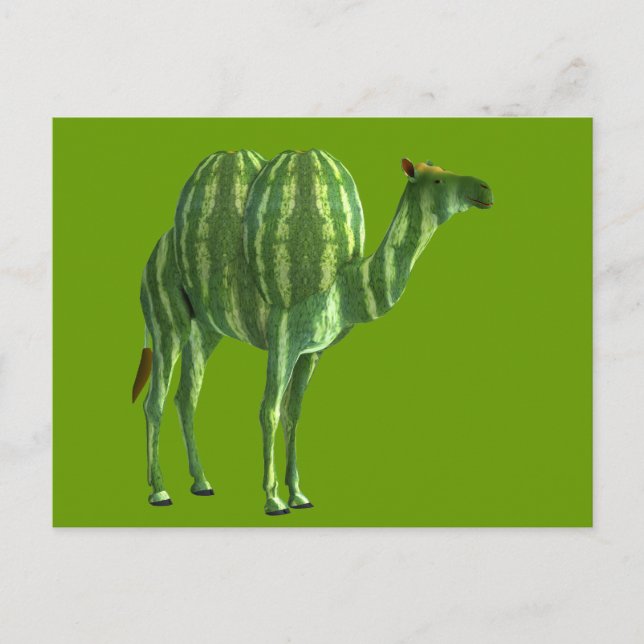 National Watermelone Day Dromedary Postkarte (Vorderseite)