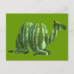 National Watermelone Day Dromedary Postkarte