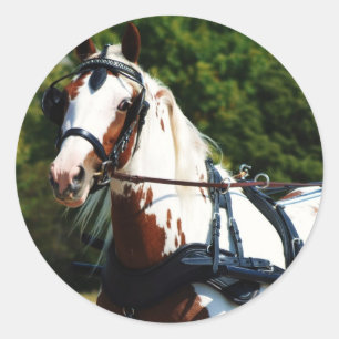 Nationalantrieb Runder Aufkleber