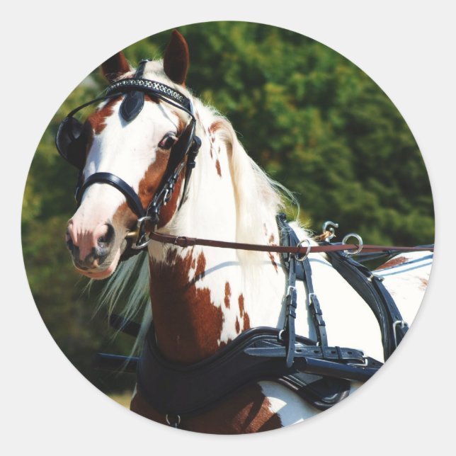 Nationalantrieb Runder Aufkleber (Vorderseite)