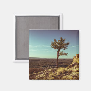 Nationaldenkmal El Malpais Magnet