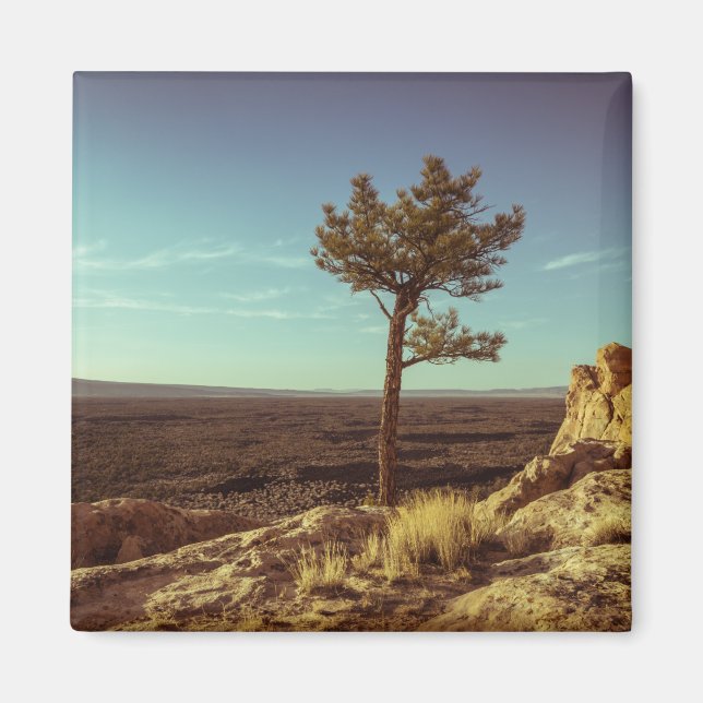 Nationaldenkmal El Malpais Magnet (Vorne)