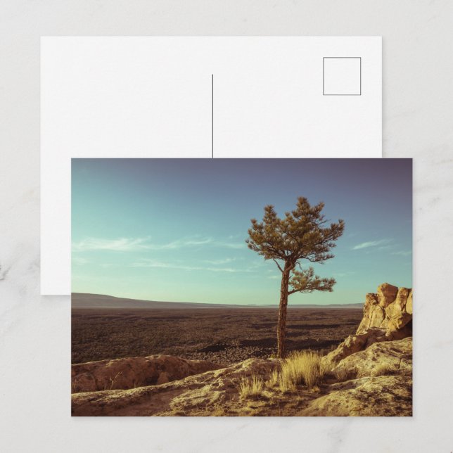 Nationaldenkmal El Malpais Postkarte (Vorne/Hinten)