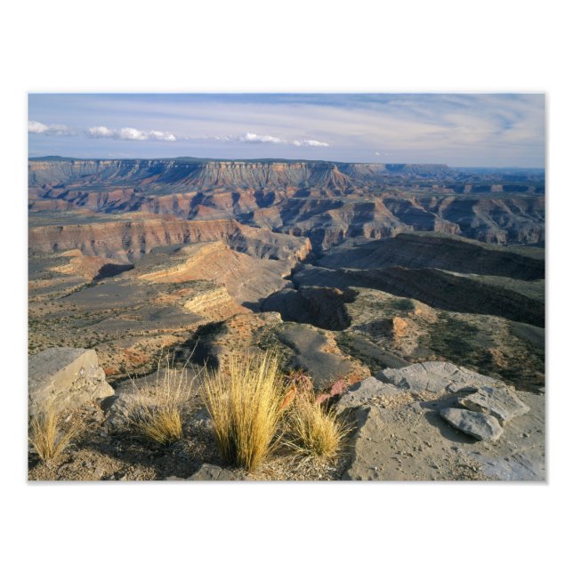 Nationaldenkmal Grand Canyon-Parashant, 2 Fotodruck (Vorne)