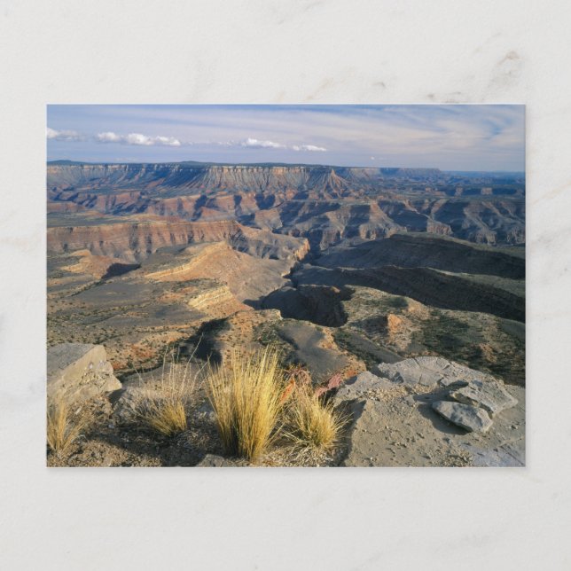 Nationaldenkmal Grand Canyon-Parashant, 2 Postkarte (Vorderseite)