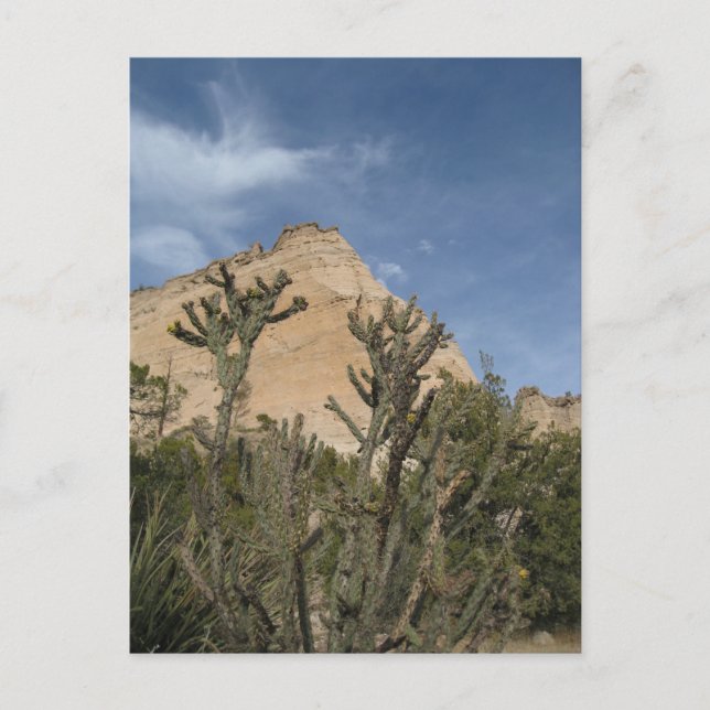 Nationaldenkmal Kasha-Katuwe Zelt Rocks Postkarte (Vorderseite)