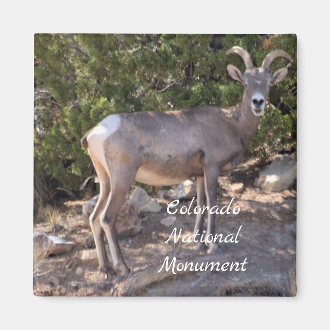 Nationaldenkmal von Colorado Magnet (Vorne)