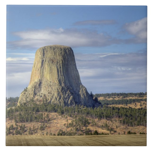 Nationaldenkmal von Devils Tower Fliese (Vorderseite)