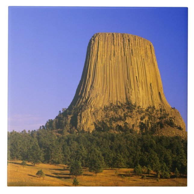 Nationaldenkmal von Devils Tower in Wyoming Fliese (Vorderseite)