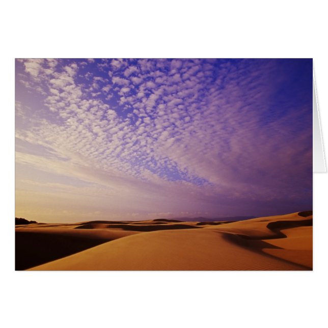 Nationale Erholungszone Oregon Dunes, Oregon (Vorderseite (Horizontal))