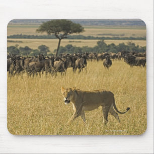 Nationale Reserve Masai-Maras, Kenia, Afrika Mousepad