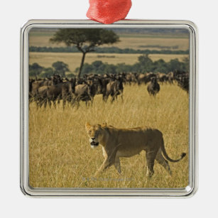 Nationale Reserve Masai-Maras, Kenia, Afrika Silbernes Ornament