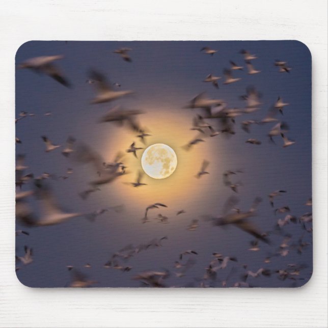 Nationale Schutzhütte Bosque del Apache Mousepad (Vorne)