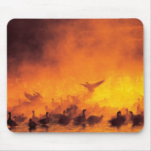 Nationale Schutzhütte Bosque del Apache, NM Mousepad
