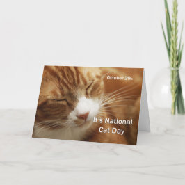 Nationaler Katzentag 29. Oktober Karte