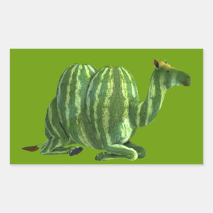 Nationaler Wassermelonen-Tag Dromedar Rechteckiger Aufkleber