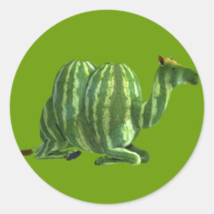 Nationaler Wassermelonen-Tag Dromedar Runder Aufkleber
