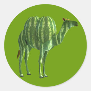 Nationaler Wassermelonen-Tag Dromedar Runder Aufkleber