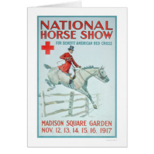 Nationales Pferdeshow für das Rote Kreuz (US00281)