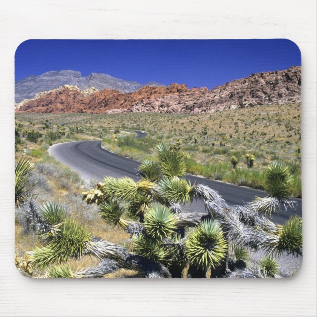 Nationales Schutzgebiet des Rock Canyon, Las Mousepad (Vorne)