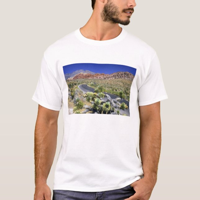 Nationales Schutzgebiet des Rock Canyon, Las T-Shirt (Vorderseite)