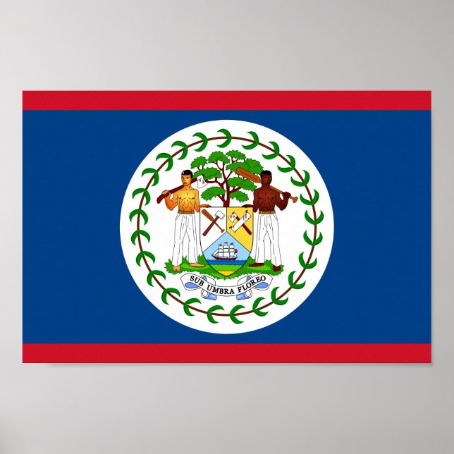 Nationalflagge von Belize Poster (Vorne)