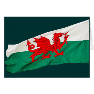 Nationalflagge Wales, Patriotischer Roter Drache