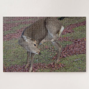 Nationalpark 2024 puzzle