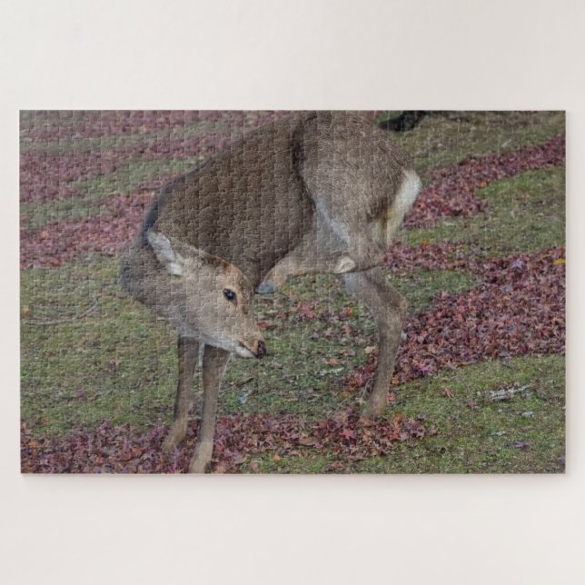 Nationalpark 2024 puzzle (Horizontal)