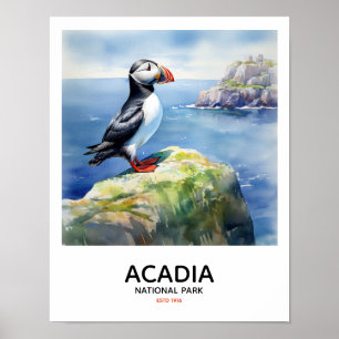 Nationalpark Acadia - Puffin Poster