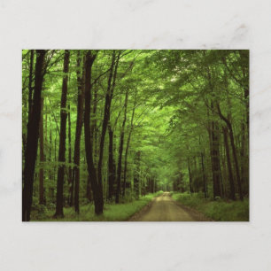 Nationalpark Allegheny, Pennsylvania Postkarte