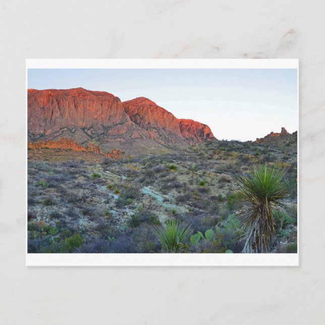 Nationalpark Big Bend Postkarte (Vorderseite)