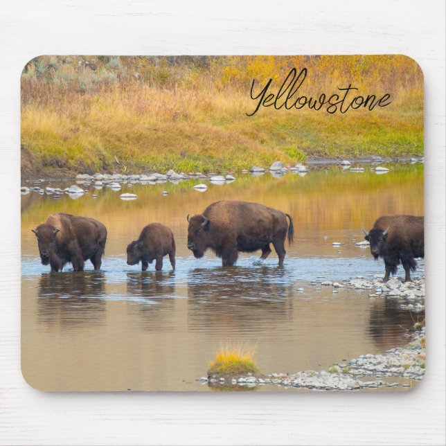 Nationalpark Bison River Crossing Yellowstone Mousepad (Vorne)