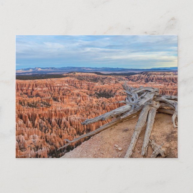 Nationalpark Bryce Canyon bei Sunrise Postkarte (Vorderseite)