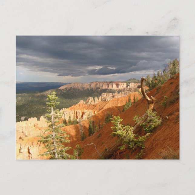 Nationalpark Bryce Canyon Postkarte (Vorderseite)