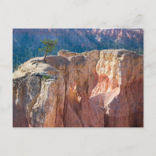 Nationalpark Bryce Canyon Postkarte
