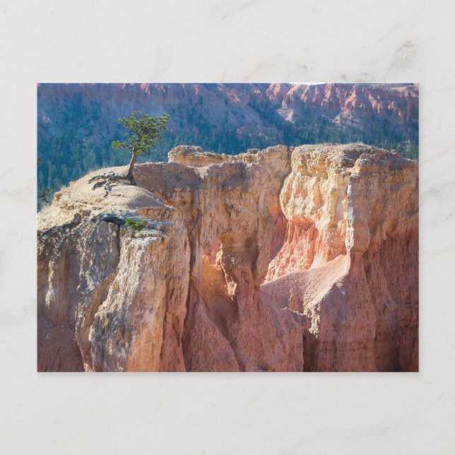 Nationalpark Bryce Canyon Postkarte (Vorderseite)
