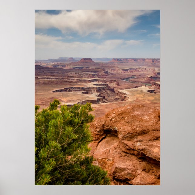 Nationalpark Canyonlands Poster (Vorne)