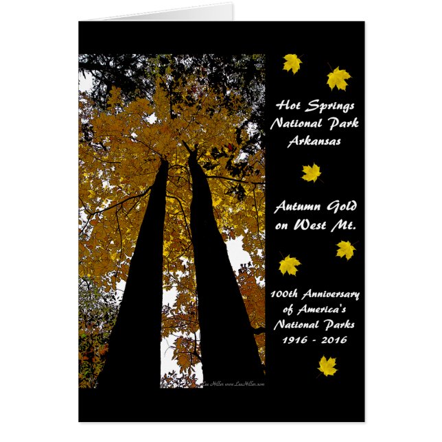 Nationalpark Centennale Hot Springs Herbst Gold (Vorne)