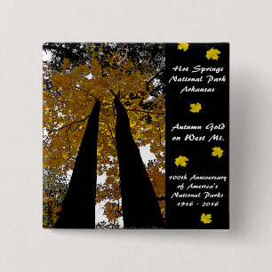 Nationalpark Centennale Hot Springs Herbst Gold Button