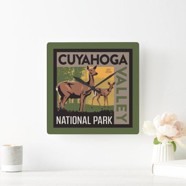 Nationalpark Cuyahoga | Ohio Quadratische Wanduhr (Zuhause)