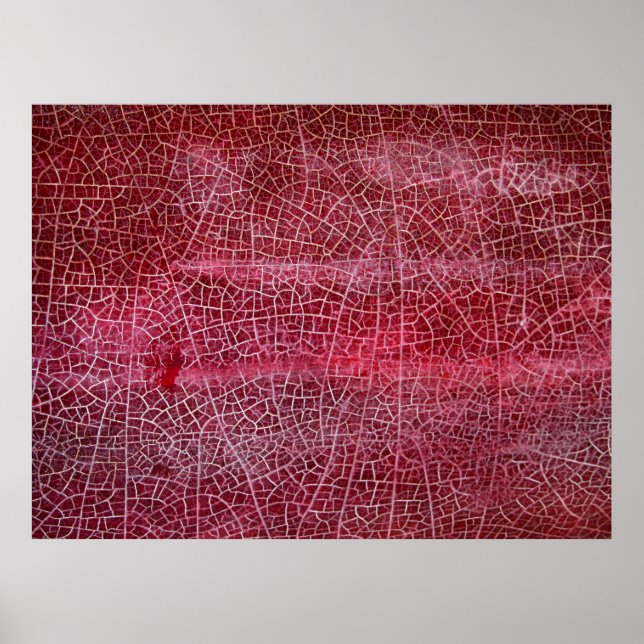 Nationalpark Death Valley Poster (Vorne)