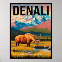 Nationalpark Denali Alaska Berglandschaft Ski